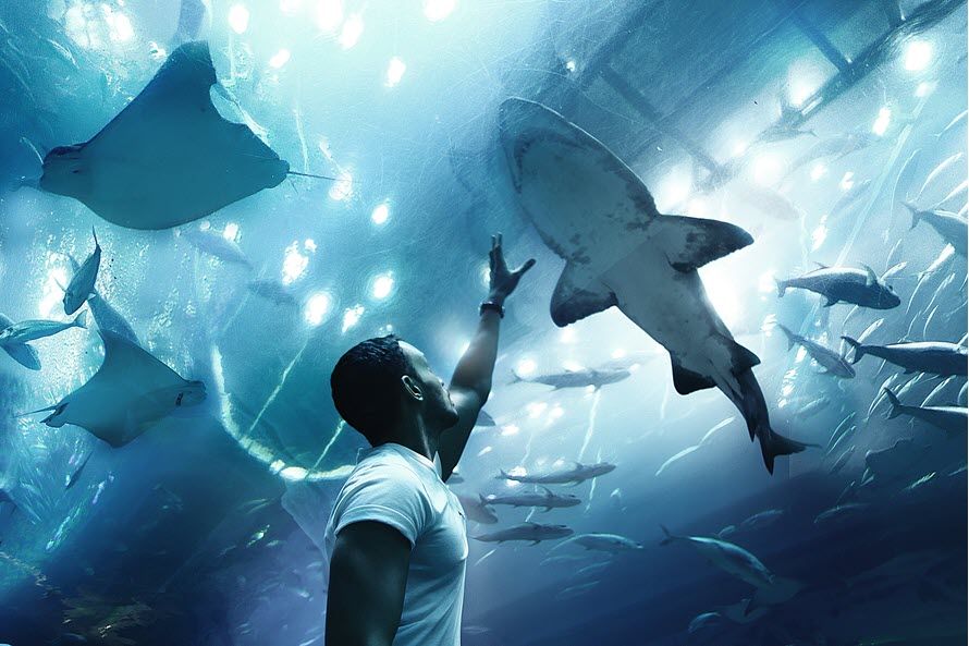 أكواريوم دبي وحديقة الحيوانات المائية