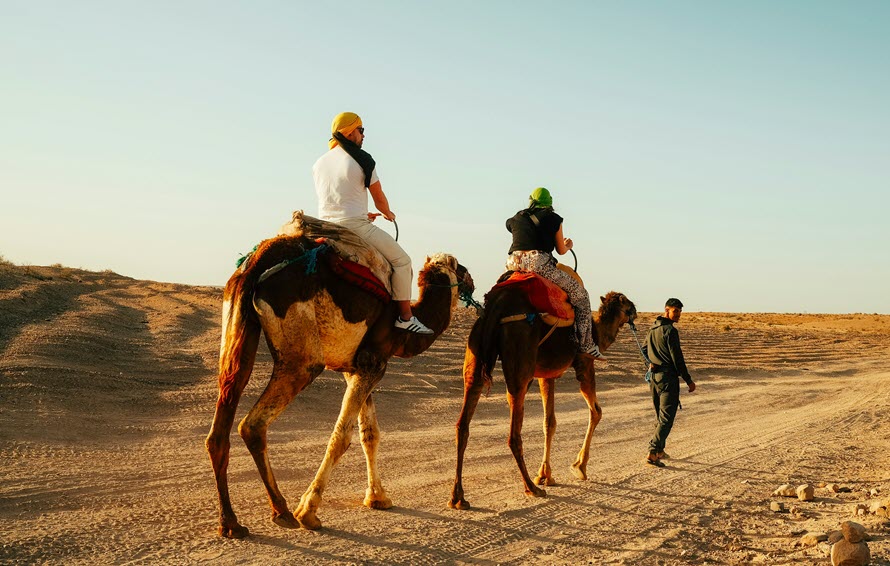  enjoy traditional camel ride dubai