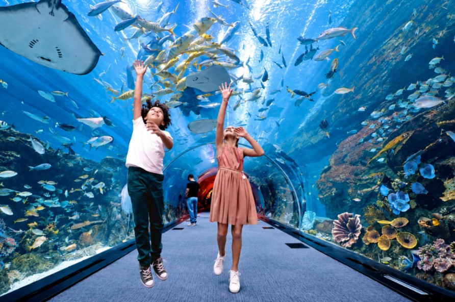 Aquarium and Underwater Zoo at Dubai Mall