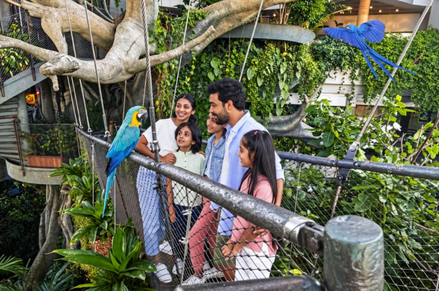 Tropical Rainforest and Free Flying Birds at Green Planet Indoor Rainforest & Wildlife
